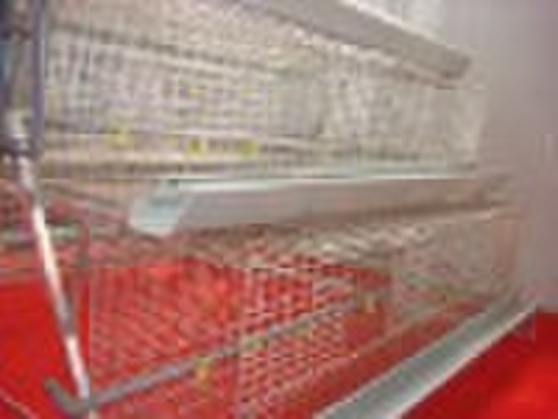 poultry chicken cage( broiler layer cage, chicken