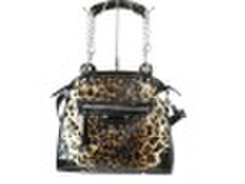 Women bag for New style 2011