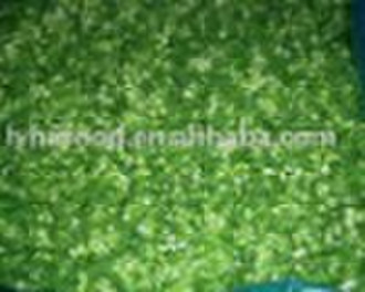 IQF Green Onion Dia: 5 10 mm; Cut: 6mm, 10mm, 12mm