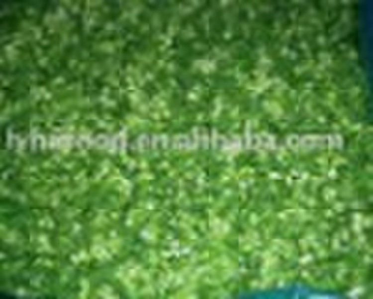 IQF Green Onion Dia: 5 10 mm; Cut: 6mm, 10mm, 12mm