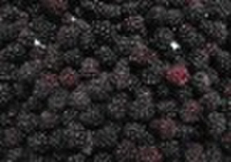 IQF Blackberries