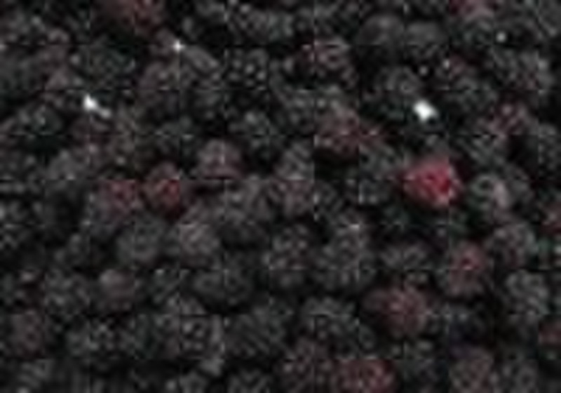 IQF Brombeeren