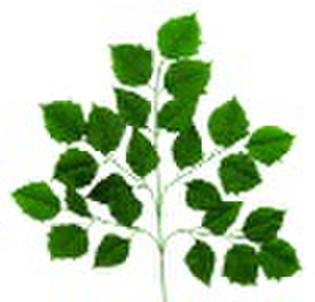 sell artificial leaves foliage  imitate POINSETTIA