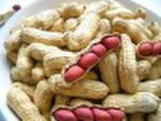 sili red peanut