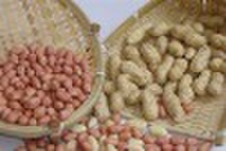 Peanuts in shell