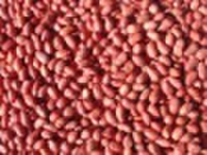 sili red peanut