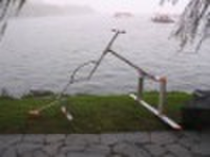 aqua bird,water skipper,water bird,