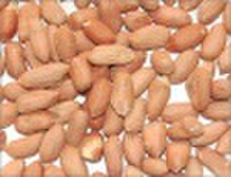 Arten von Haut Erdnüsse