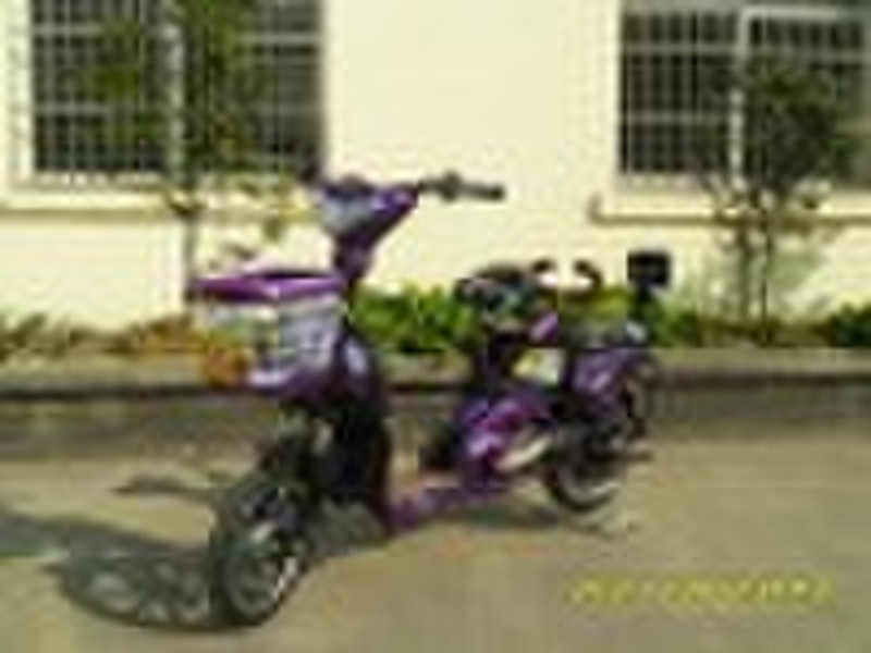 Electric Bike ---LS30