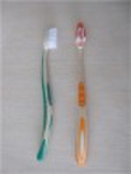 toothbrush (FDA) with xylem fiber