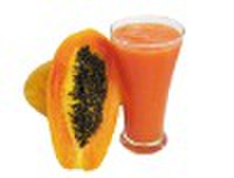 Single Strength Red Papaya Puree