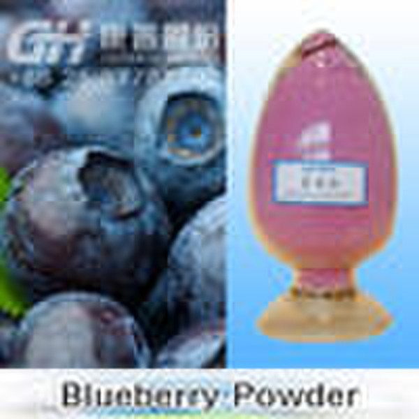 Blueberry Juice Powder