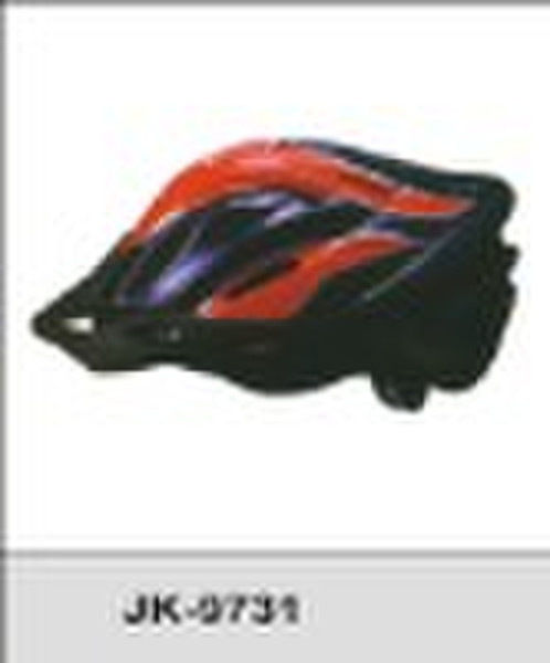 bicycle helmet