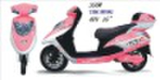 TDR1009Z Electric Scooter