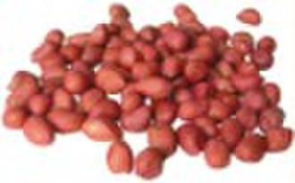 red peanut kernel