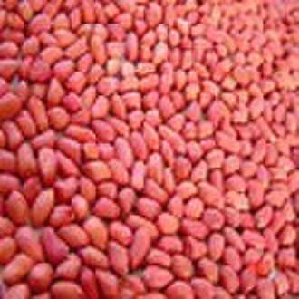 red skin peanut kernels