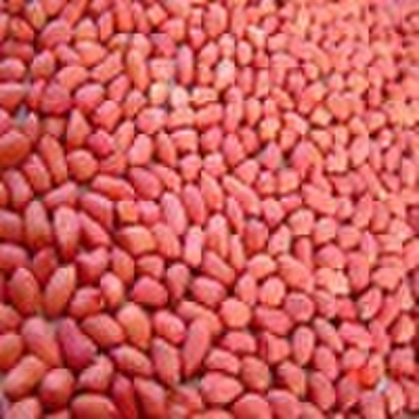 red skin peanut kernels