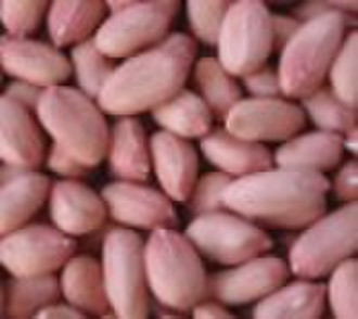 Peanut Kernels