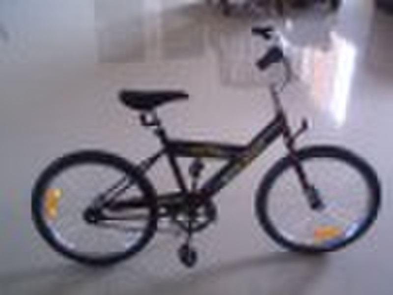 Children Bicycle (Pass CPSC)