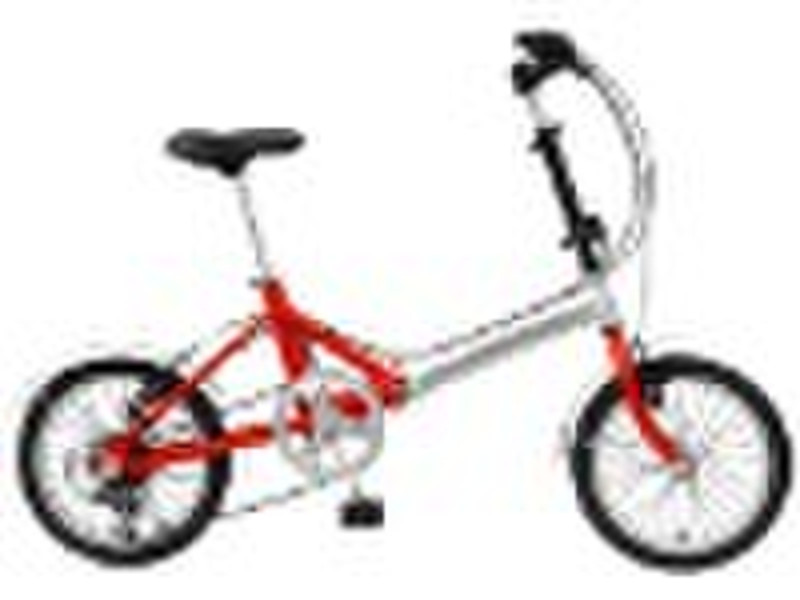 Folding Bike