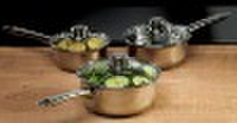 stainless steel saucepan