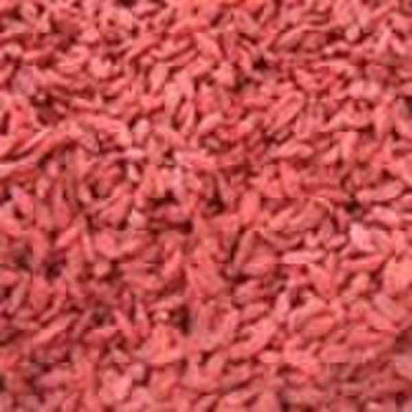 dried goji berry 2010 crop(Ningxia)