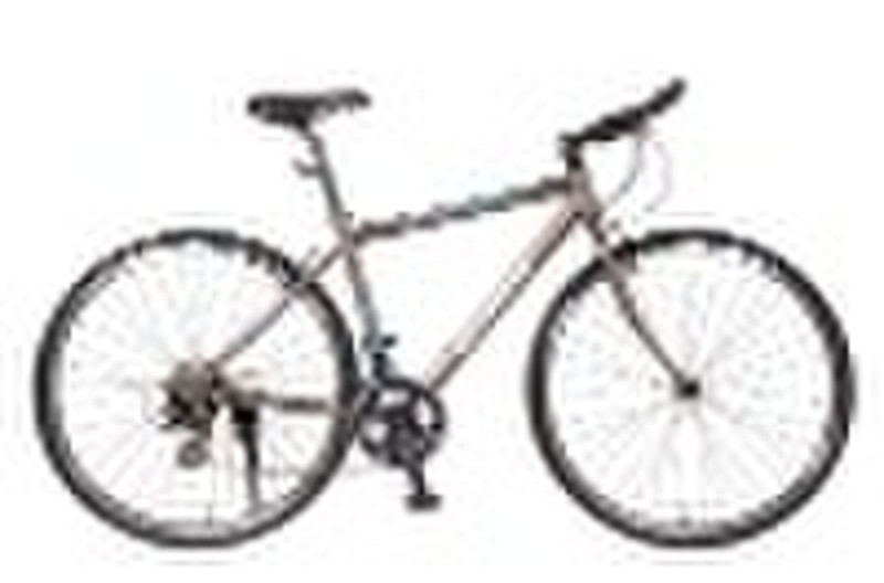 EXCELLENT GRACE  Road bicycle(DI05-0000/AL)