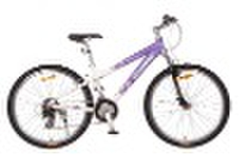 Excellence Ireland Mountainbike (DH21-0000 / AL)