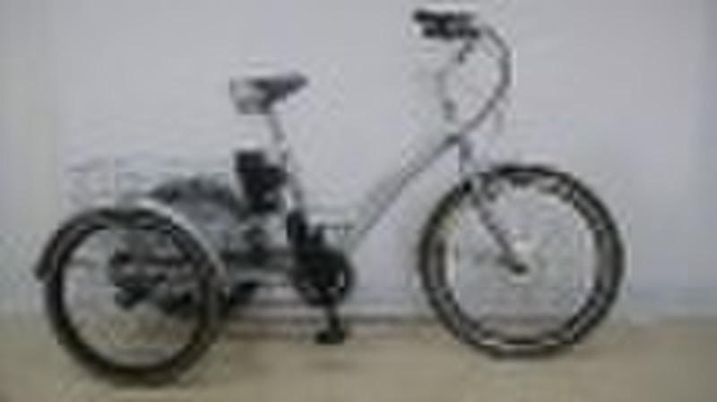 electric cargo bike-LF2420EC01