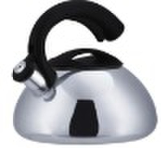 Stainless Steel Whistling Kettle, Wasserkocher, Tee-