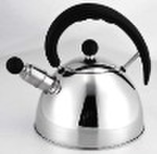 Stainless Steel Whistling Kettle, Teekessel, Wasser