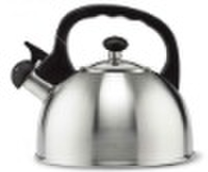 Stainless Steel Whistling Kettle, Teekessel, Tee