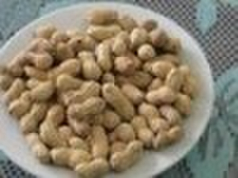 Roasted Peanuts with shell