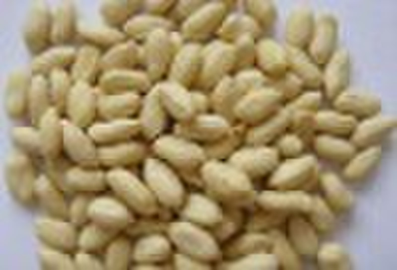 Blanched Peanut Kernels