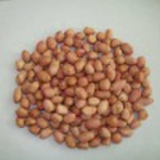 Chinese Peanut Kernels