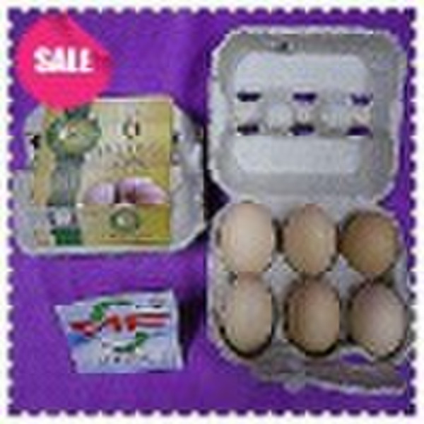 Бумажной массы для яиц яйца коробки яйца окно