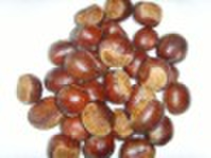 Zhejiang chestnuts