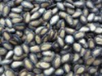 black watermelon seeds