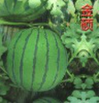 Emerald watermelon seed