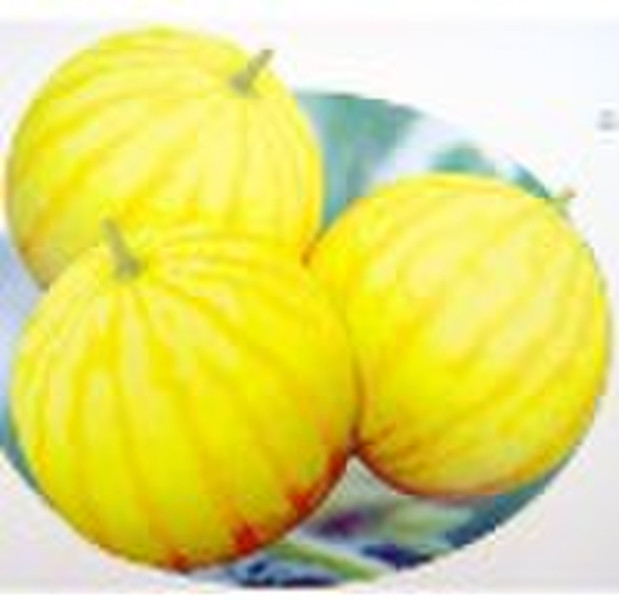 Golden King watermelon seed