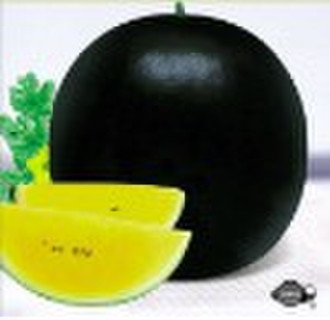 Black Crystal watermelon seed