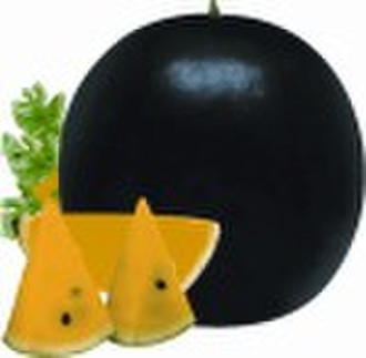 Black Pearl Wassermelone Samen