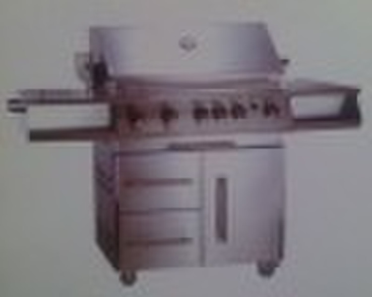 6 Brenner Gasgrill