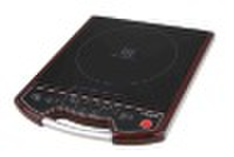 11 Inch Induction Cooker