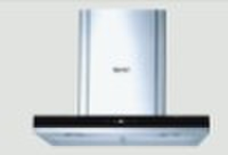 Wall mounted range hood