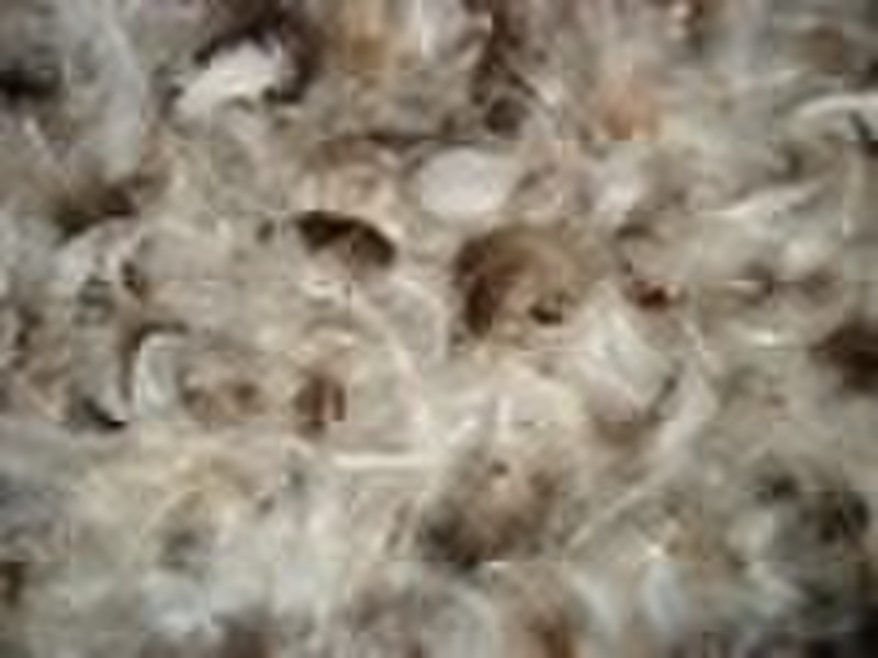 Washed 2-4cm Grey Duck Feathers