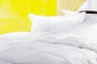 down quilt/pillow