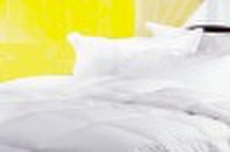 down quilt/pillow
