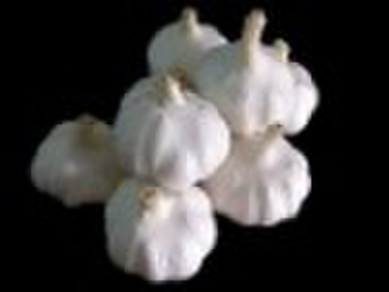 pure white garlic