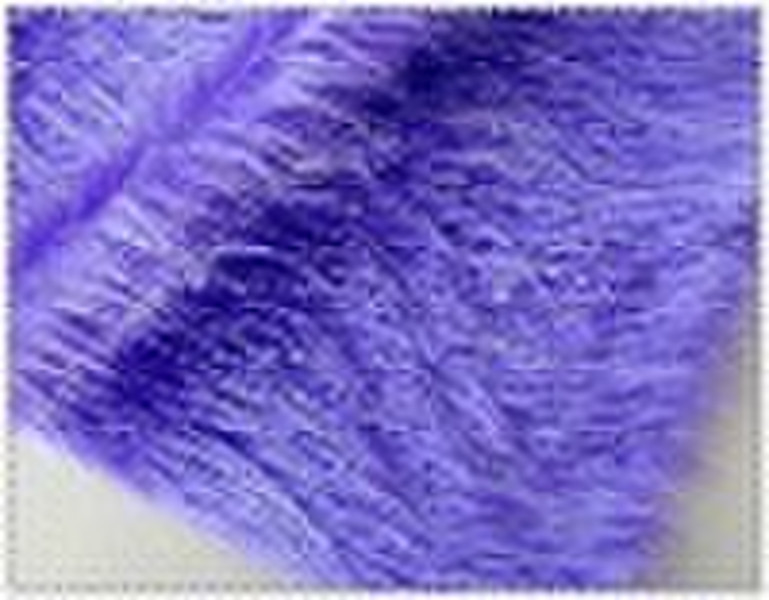 PCF507 Rolling Plush